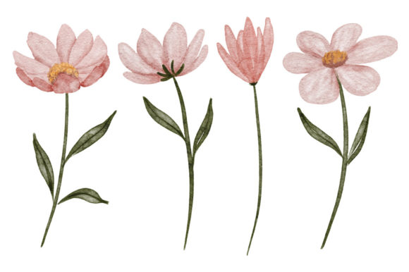Download Watercolor Petal Cosmos Flower Element - Petal Collection