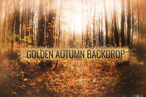 Download Autumn Golden Backdrop for Photographers - For photographers Collection
